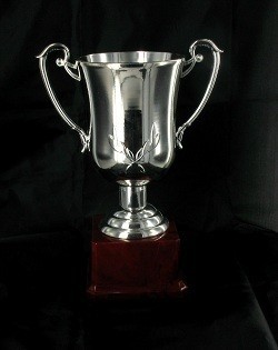Coupe Argent&eacute;e - Grande (23 cm)