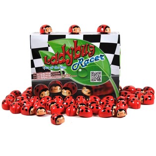 COCCINELLE &Agrave; FRICTION EN PR&Eacute;SENTOIR (36 pcs)