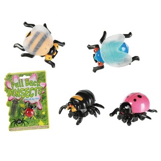 Insectes &agrave; Friction sur Carte (24 pcs)