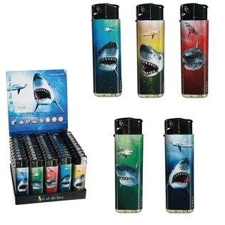 BRIQUETS &Eacute;LECTRIQUES REQUINS EN PR&Eacute;SENTOIR - STOCK LIMIT&Eacute; (50 pcs)